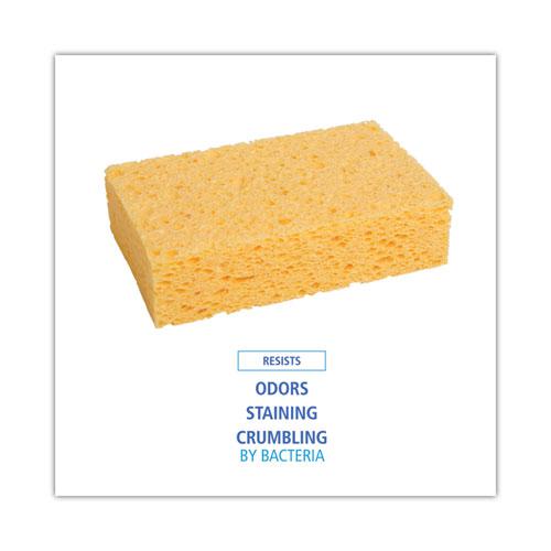 Medium Cellulose Sponge, 3.67 x 6.08, 1.55" Thick, Yellow, 24/Carton. Picture 5
