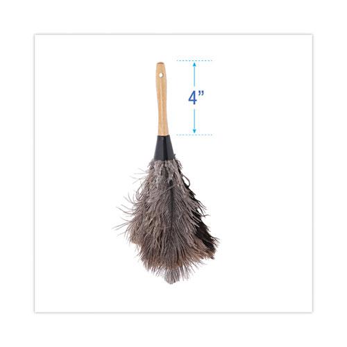 Professional Ostrich Feather Duster, 4" Handle. Picture 2