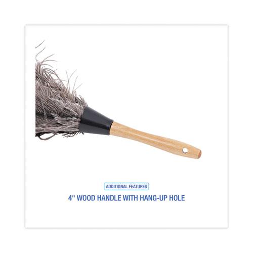 Professional Ostrich Feather Duster, 4" Handle. Picture 3