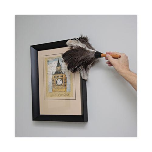 Professional Ostrich Feather Duster, 7" Handle. Picture 5