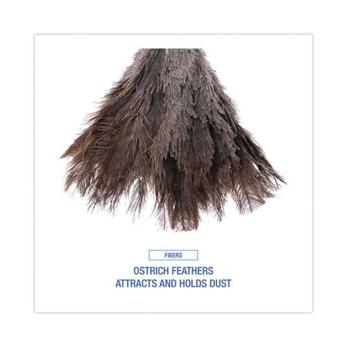 Professional Ostrich Feather Duster, Gray, 14" Length, 6" Handle. Picture 4