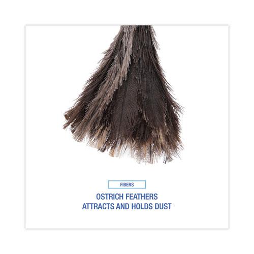 Professional Ostrich Feather Duster, 13" Handle. Picture 4