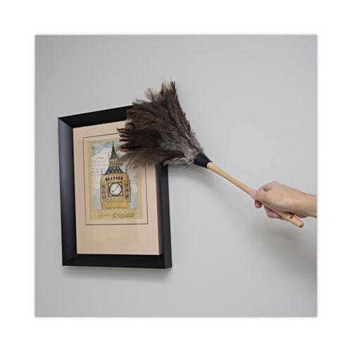 Professional Ostrich Feather Duster, 13" Handle. Picture 5