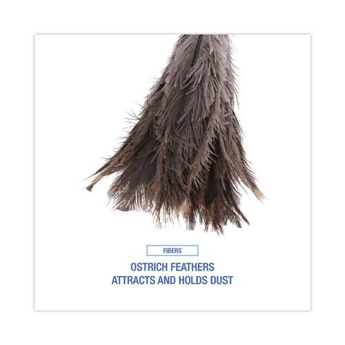 Professional Ostrich Feather Duster, 16" Handle. Picture 4