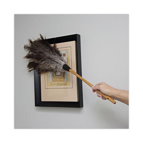 Professional Ostrich Feather Duster, 16" Handle. Picture 5
