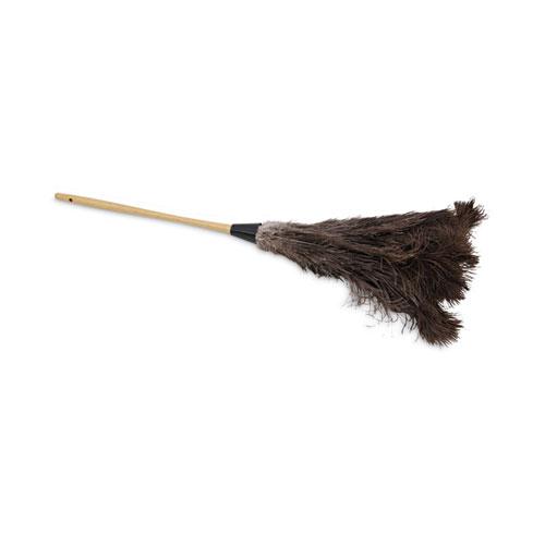 Professional Ostrich Feather Duster, 16" Handle. Picture 1