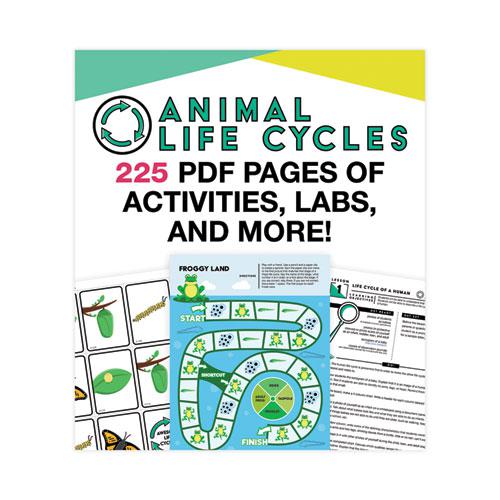 In a Flash USB, Animal Lifestyles, Ages 5-8, 225 Pages. Picture 2