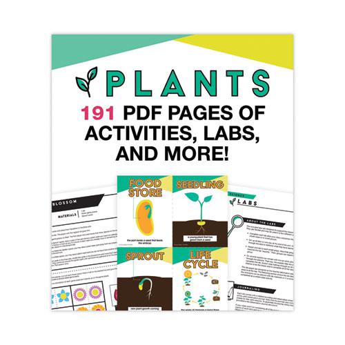 In a Flash USB, Plants, Ages 5-8, 191 Pages. Picture 8