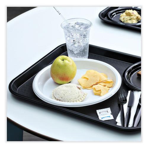 Hi-Impact Plastic Dinnerware, Plate, 10" dia, White, 500/Carton. Picture 5