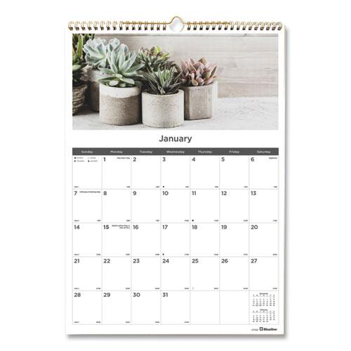 12-Month Wall Calendar, Succulent Plants Photography, 12 x 17, White/Multicolor Sheets, 12-Month (Jan to Dec): 2024. Picture 1