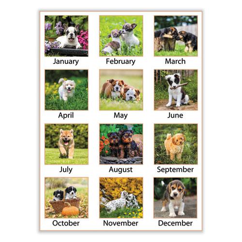 Puppies Monthly Desk Pad Calendar, Puppies Photography, 22 x 17, White Sheets, Clear Corners, 12-Month (Jan to Dec): 2024. Picture 3