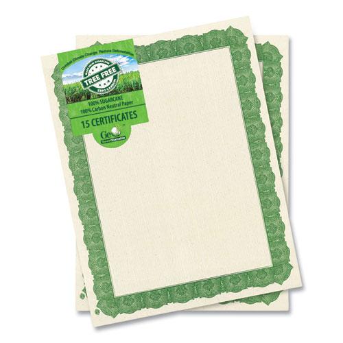 Award Certificates, 8.5 x 11, Natural with Green Braided Border, 15/Pack. Picture 1