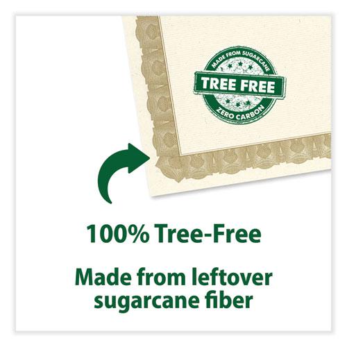 Tree Free Award Certificates, 8.5 x 11, Natural with Gold Braided Border, 15/Pack. Picture 4