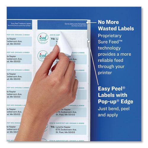 Glossy Clear Easy Peel Mailing Labels w/ Sure Feed Technology, Inkjet/Laser Printers, 0.66 x 1.75, 60/Sheet, 10 Sheets/PK. Picture 2