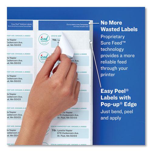 Glossy Clear Easy Peel Mailing Labels w/ Sure Feed Technology, Inkjet/Laser Printers, 2 x 4, Clear, 10/Sheet, 10 Sheets/Pack. Picture 3