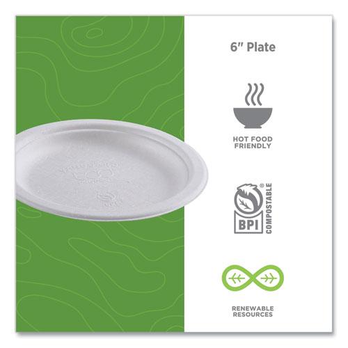 Renewable Sugarcane Plates, 6" dia, Natural White, 1,000/Carton. Picture 5