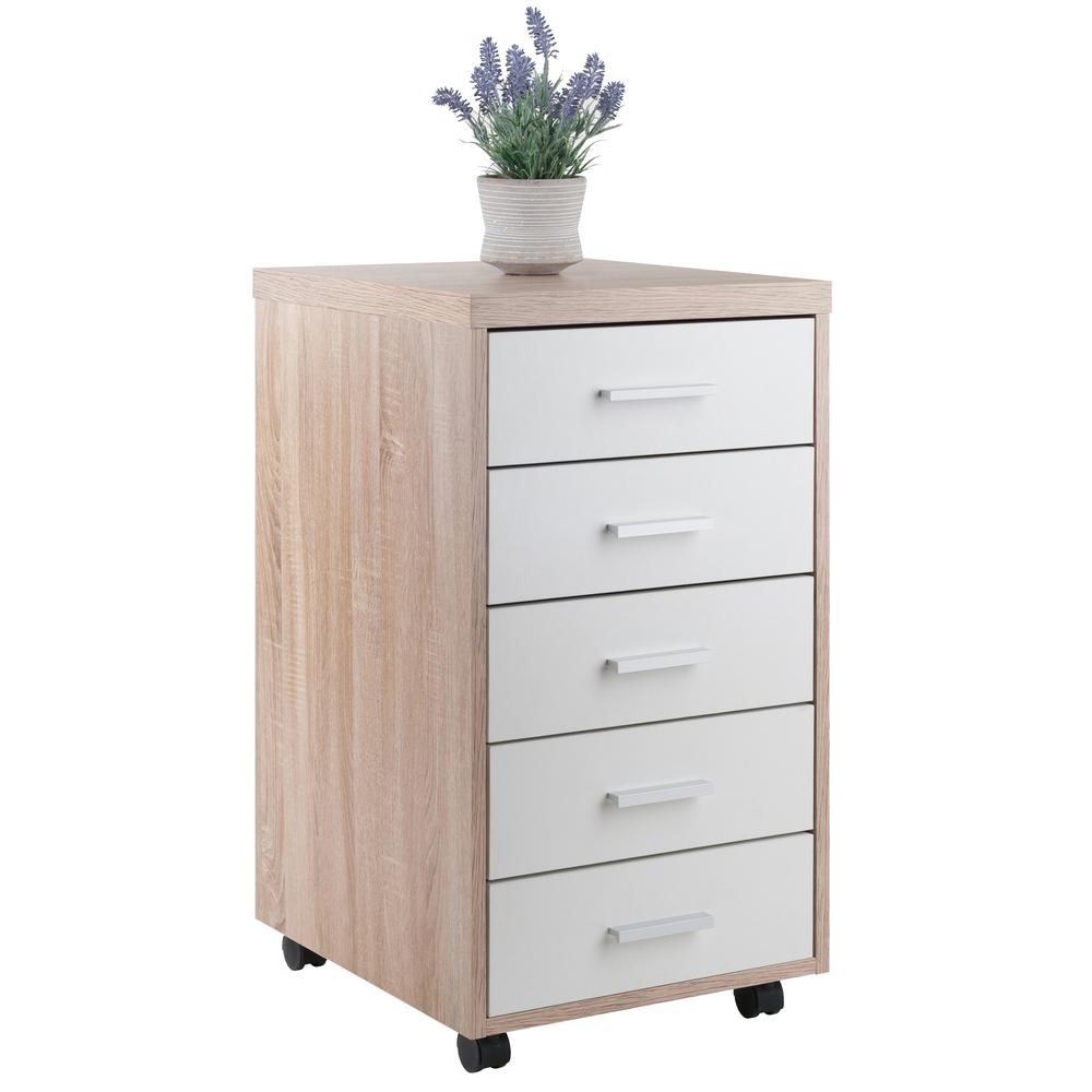 Kenner Mobile Storage Cabinet, 5 Drawers, Reclaimed Wood/White Finish. Picture 5