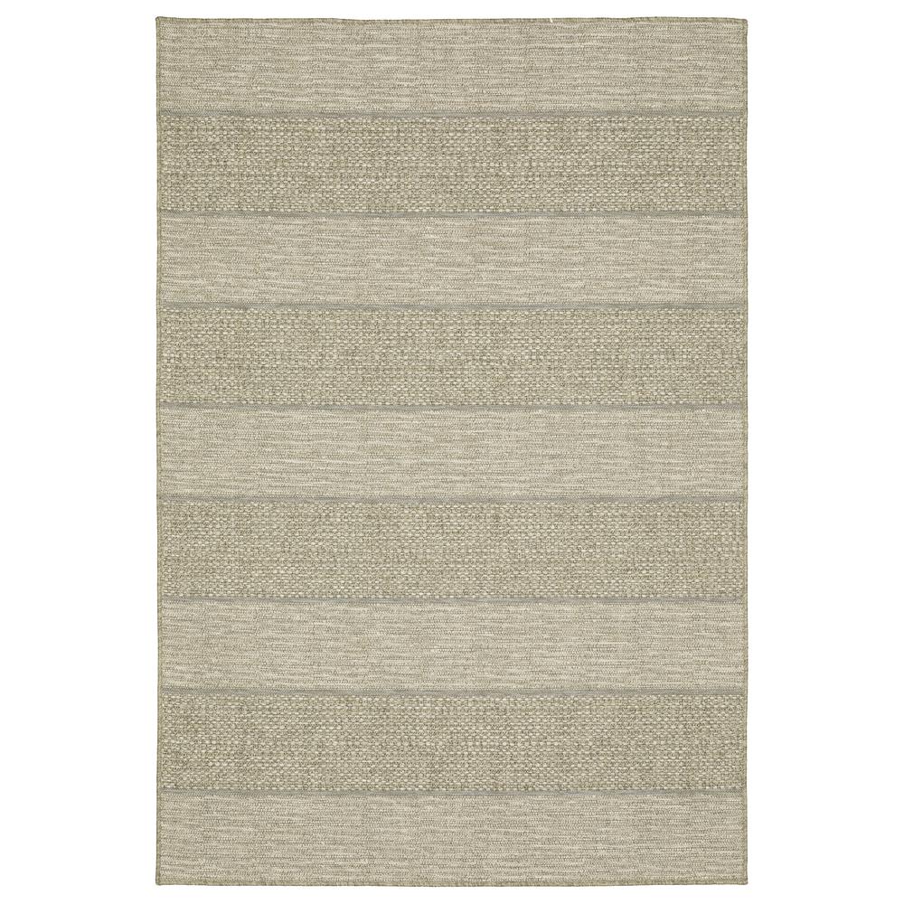 TORTUGA Beige 5' 3 X  7' 3 Area Rug. Picture 1