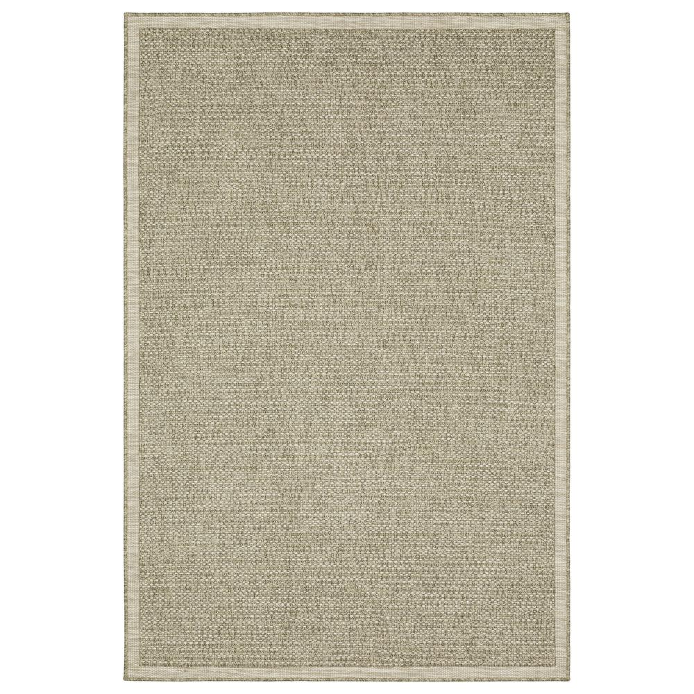 TORTUGA Beige 5' 3 X  7' 3 Area Rug. Picture 1