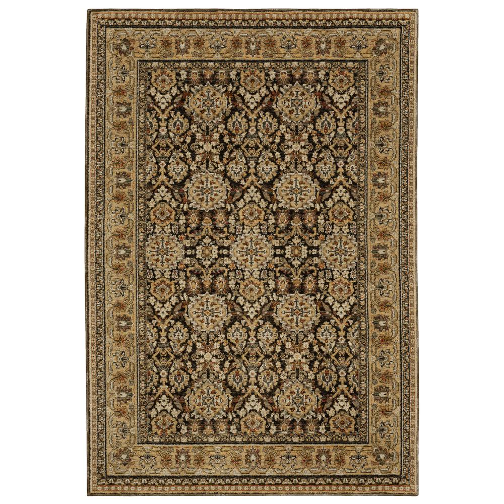 ANDORRA Brown 3' 3 X  5' 2 Area Rug. Picture 1