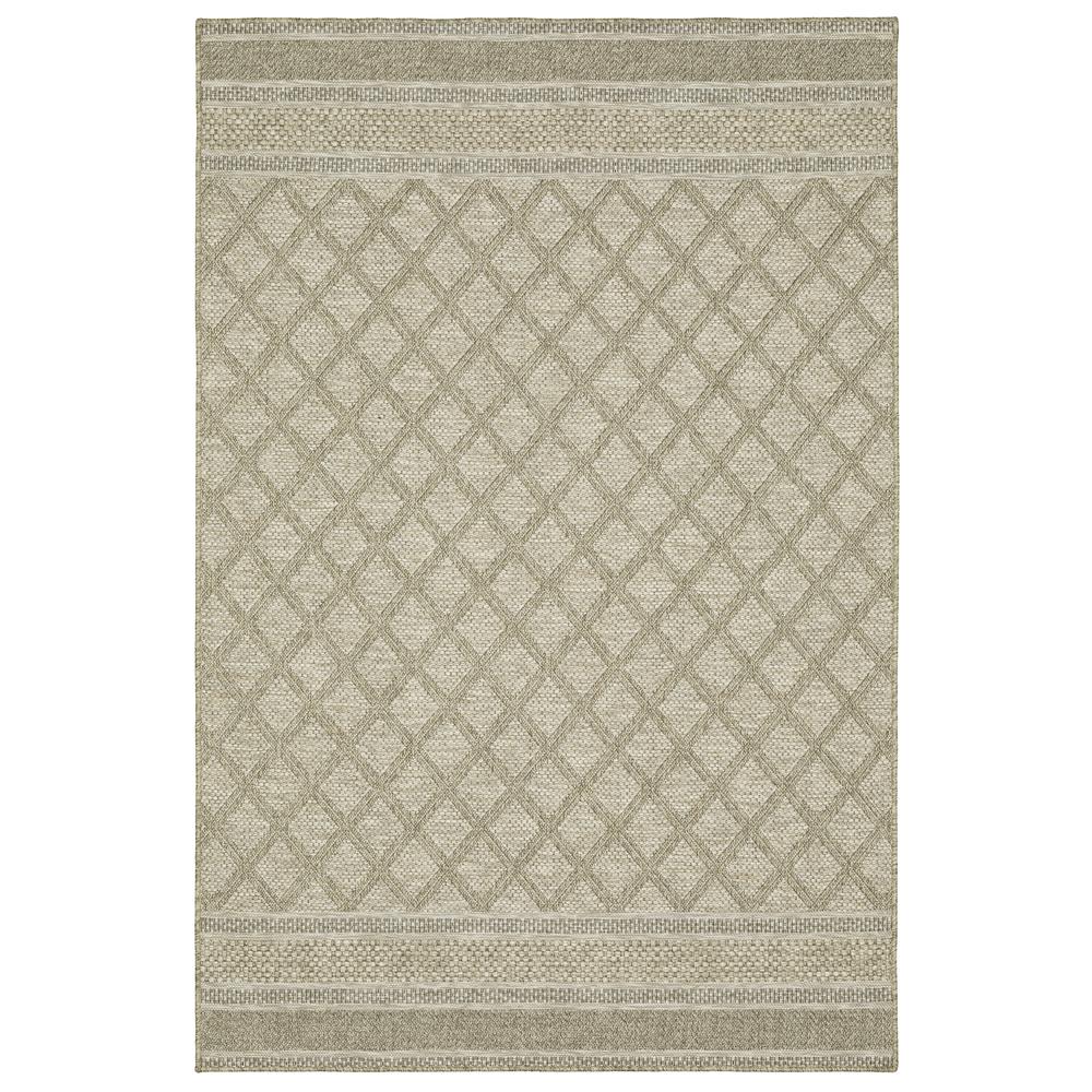 TORTUGA Beige 7'10 X 10' Area Rug. The main picture.
