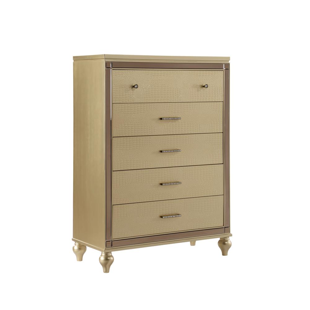 Sterling Contemporary 5-Drawer Chest with Made with Wood and Mirrored Accents. Picture 1