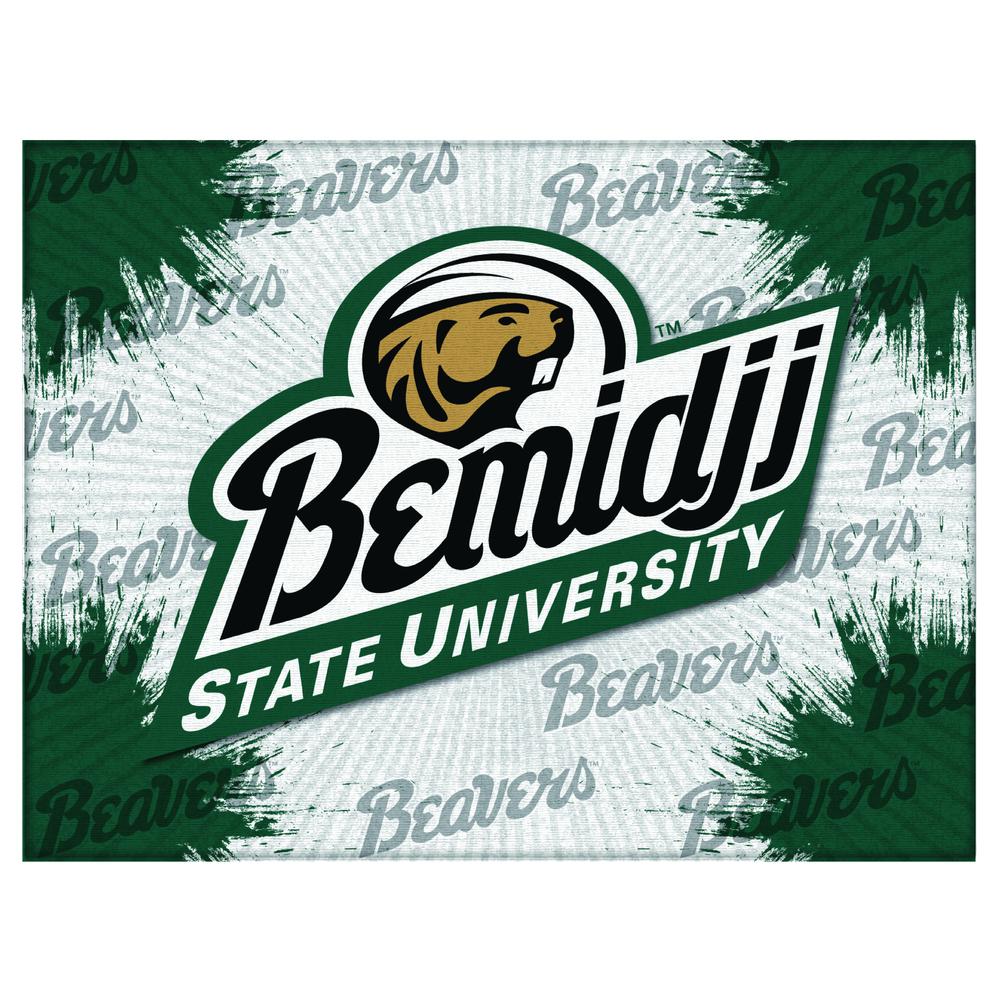 Bmidji State 24" x 32" Officially Licensed Logo Canvas. Picture 1