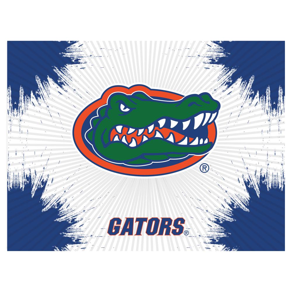 Florida 24" x 32" Officially Licensed Logo Canvas. Picture 1