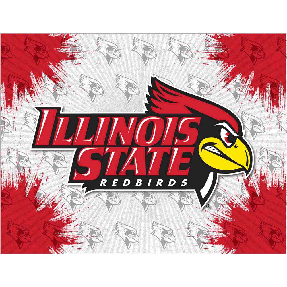 Illinois State 24" x 32" Officially Licensed Logo Canvas. Picture 1