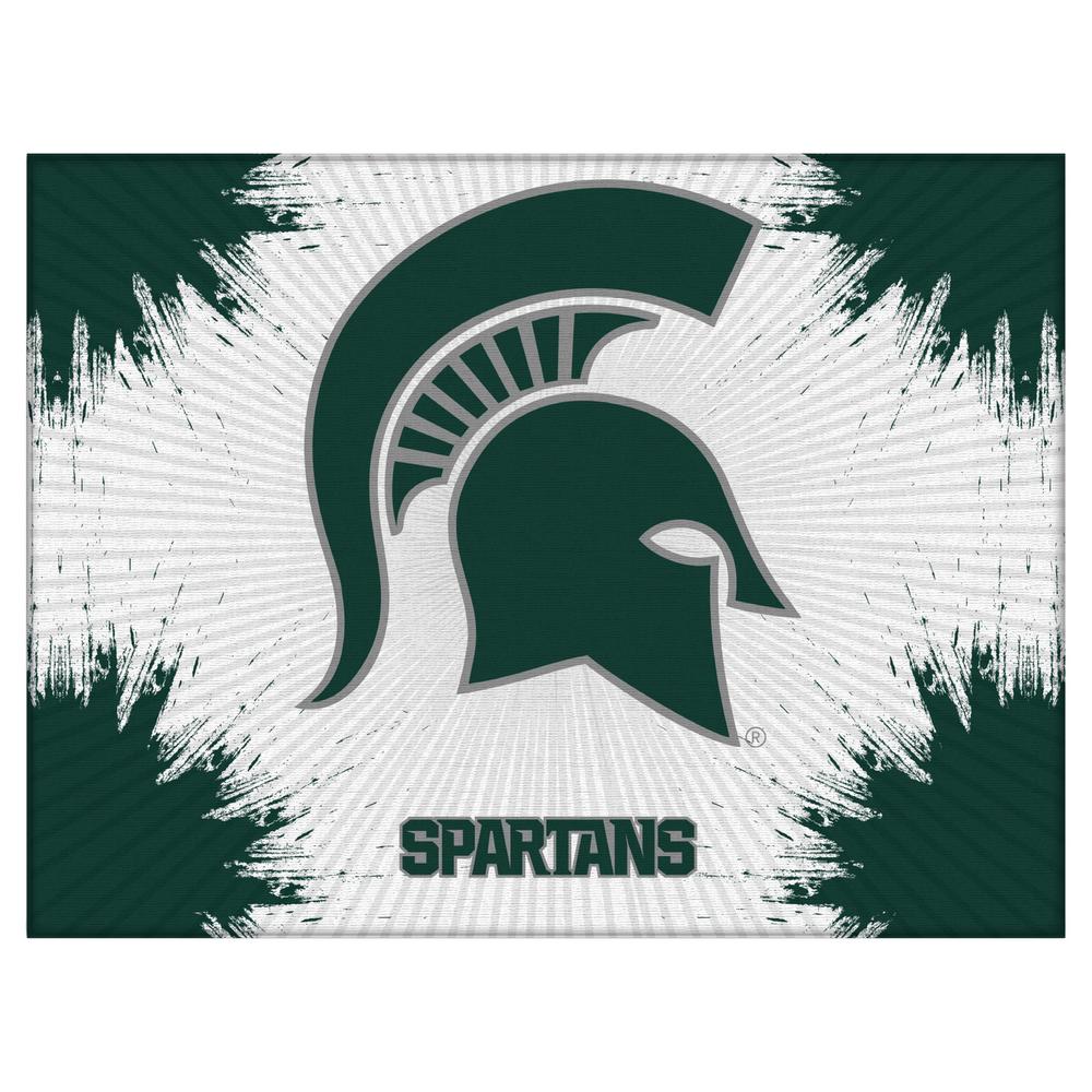 Michigan State 24" x 32" Officially Licensed Logo Canvas. The main picture.