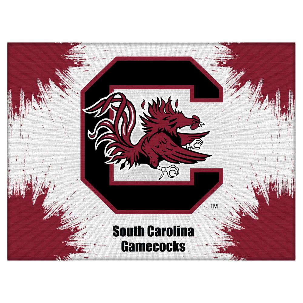South Carolina 24" x 32" Officially Licensed Logo Canvas. Picture 1