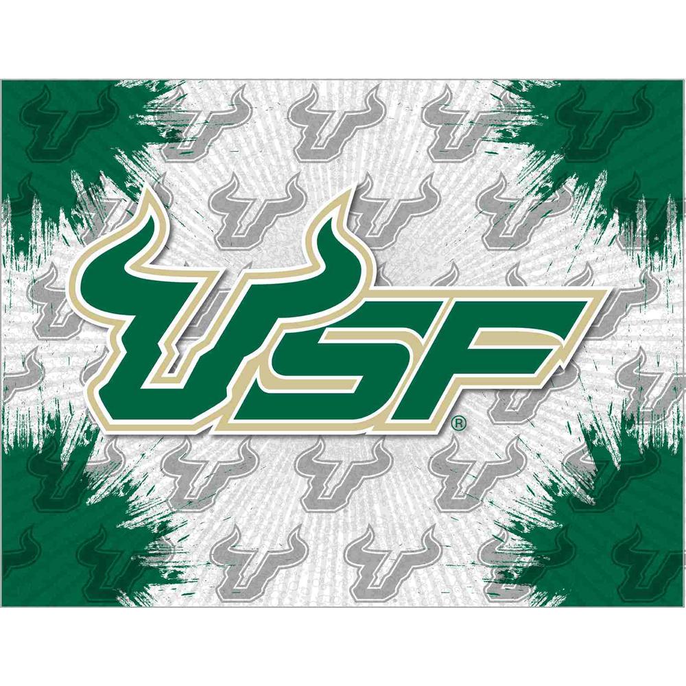 South Florida 24" x 32" Officially Licensed Logo Canvas. Picture 1