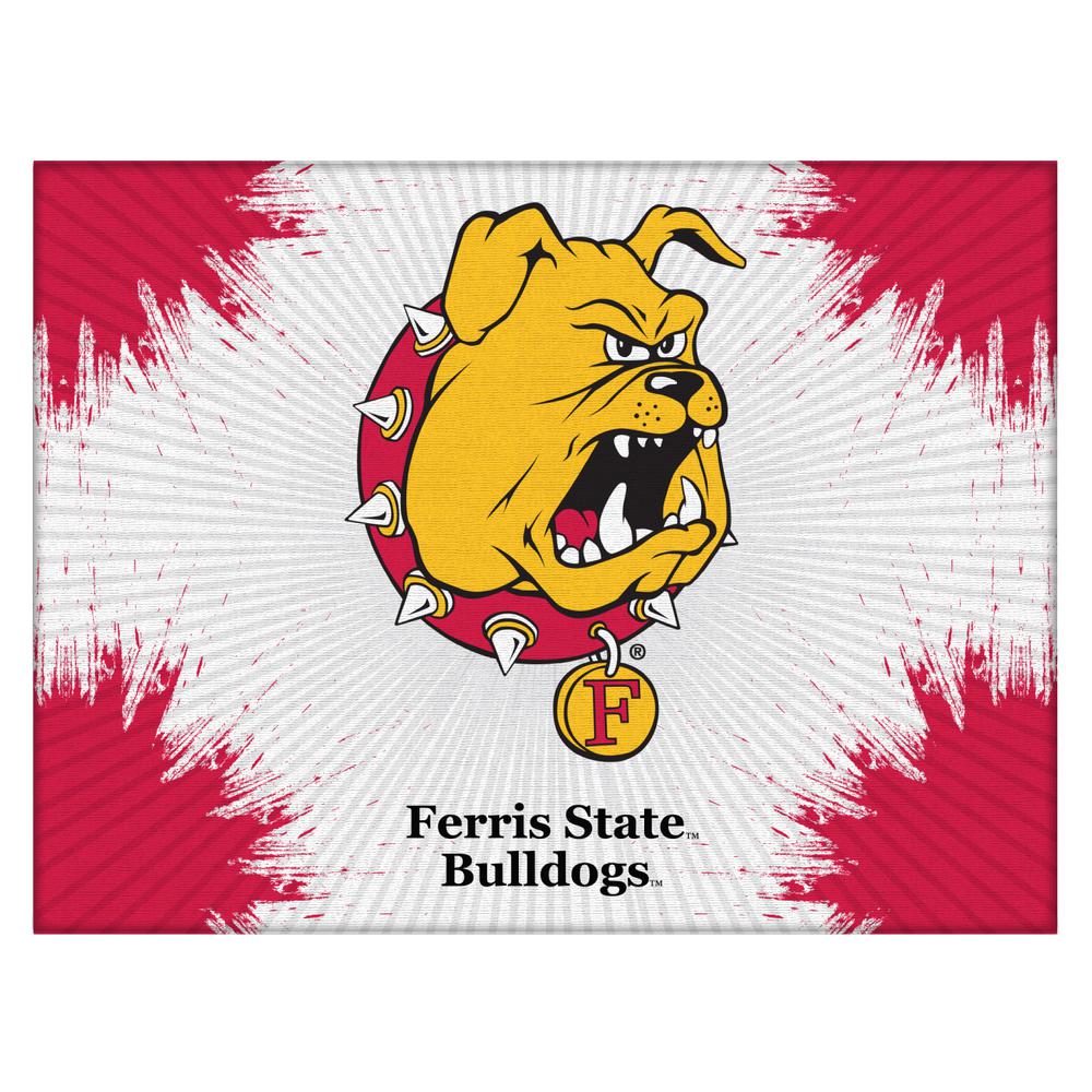 Ferris State 15" x 20" Officially Licensed Logo Canvas. Picture 1