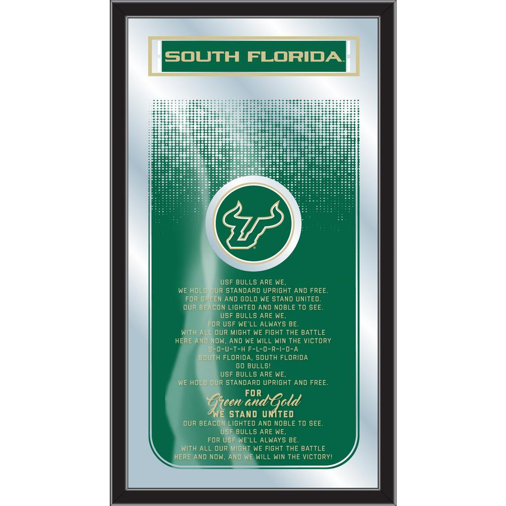 South Florida 26" x 15" Fight Song Mirror. Picture 1
