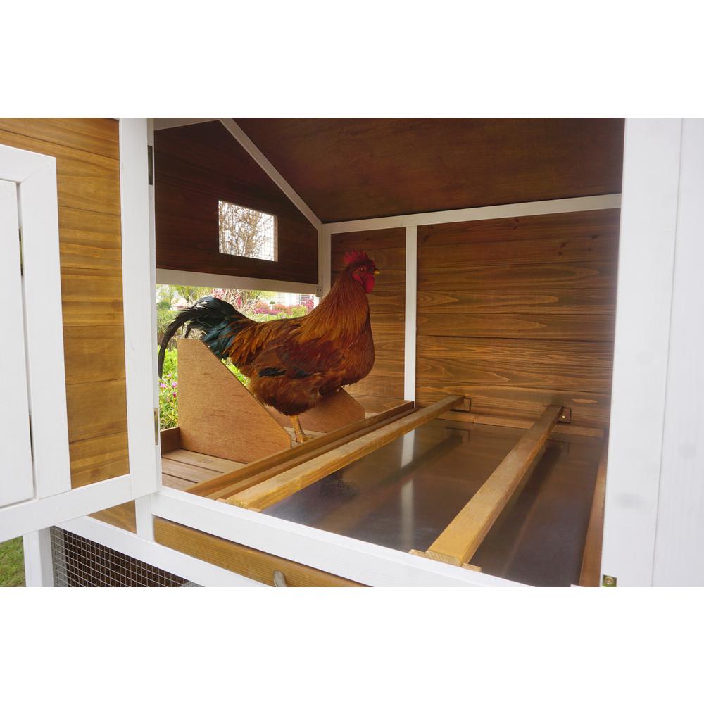 Farmstead Chicken Coop. Picture 3