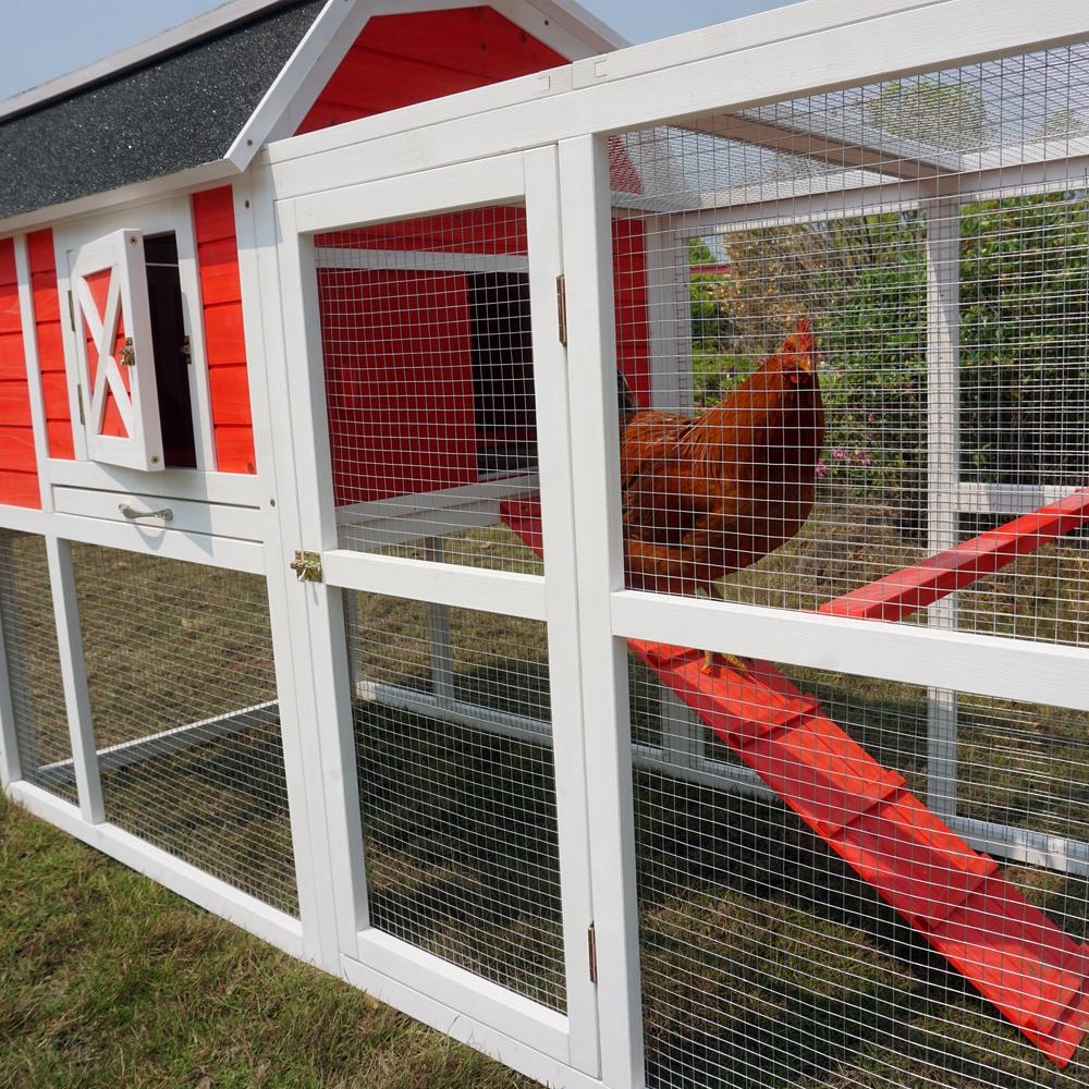 Big Farm Chicken Coop. Picture 4