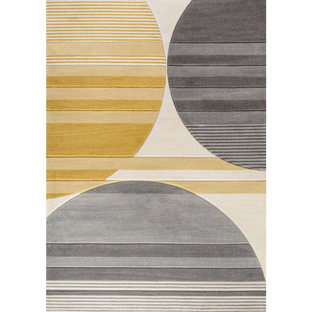 Nicky Geometric Striped Circles Area Rug. Picture 2