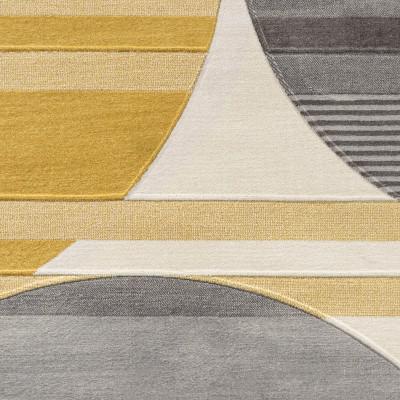 Nicky Geometric Striped Circles Area Rug. Picture 14