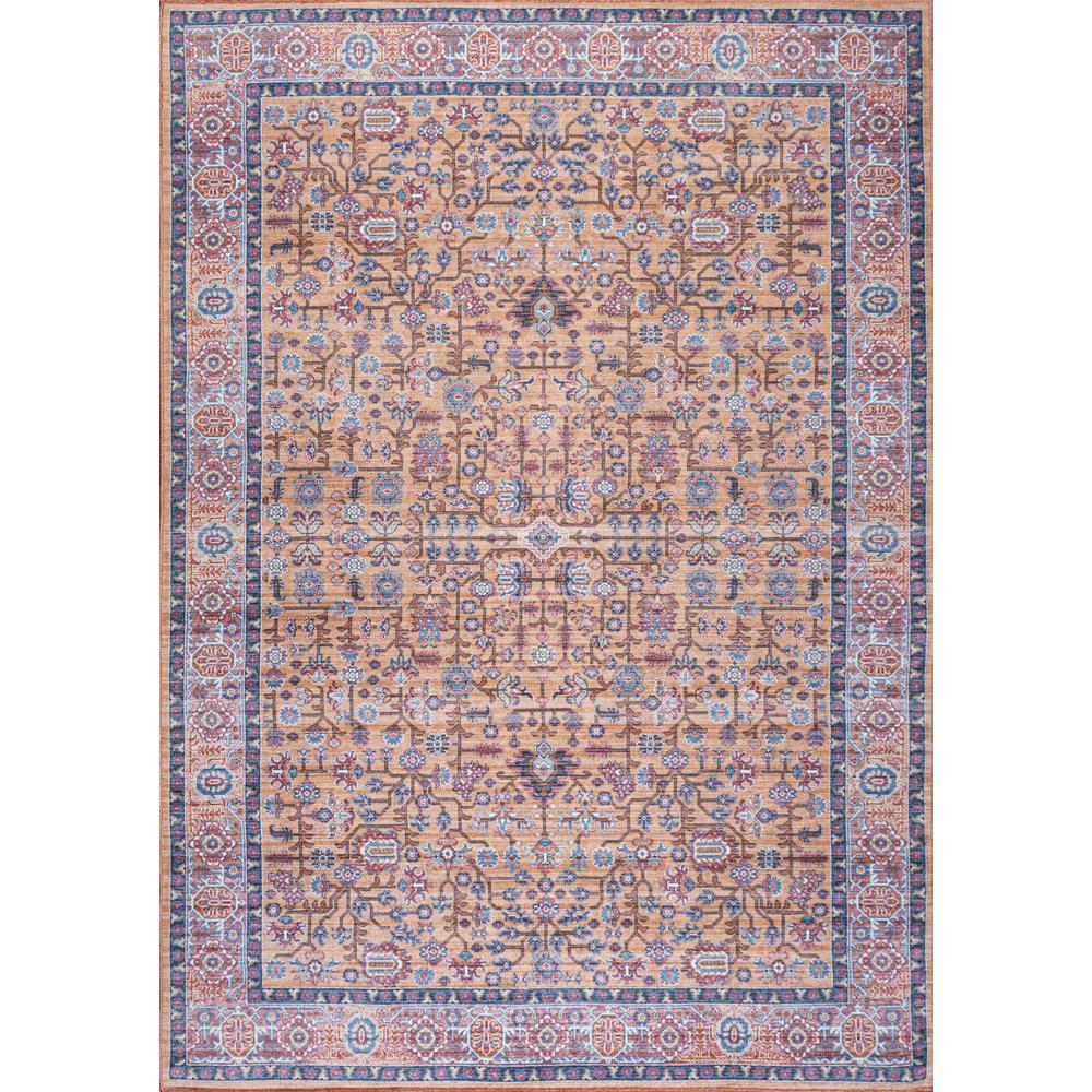 Kemer All Over Persian Washable Indoor/Outdoor Area Rug. Picture 1