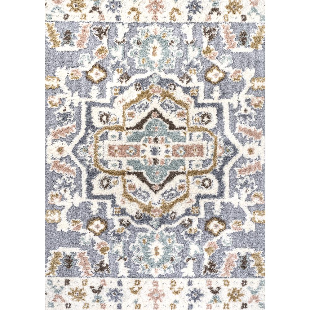 Aziza Persian Medallion High-Low Area Rug. Picture 1