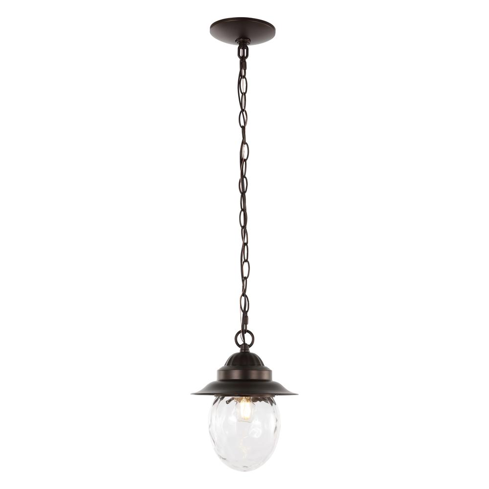 Manteo Farmhouse Industrial Iron/Glass Outdoor LED Pendant. Picture 5