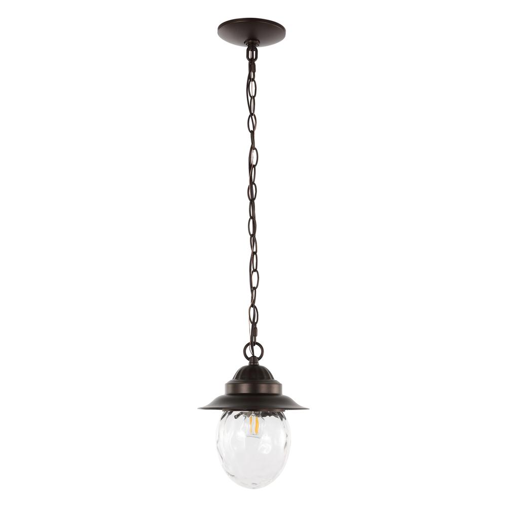 Manteo Farmhouse Industrial Iron/Glass Outdoor LED Pendant. Picture 1
