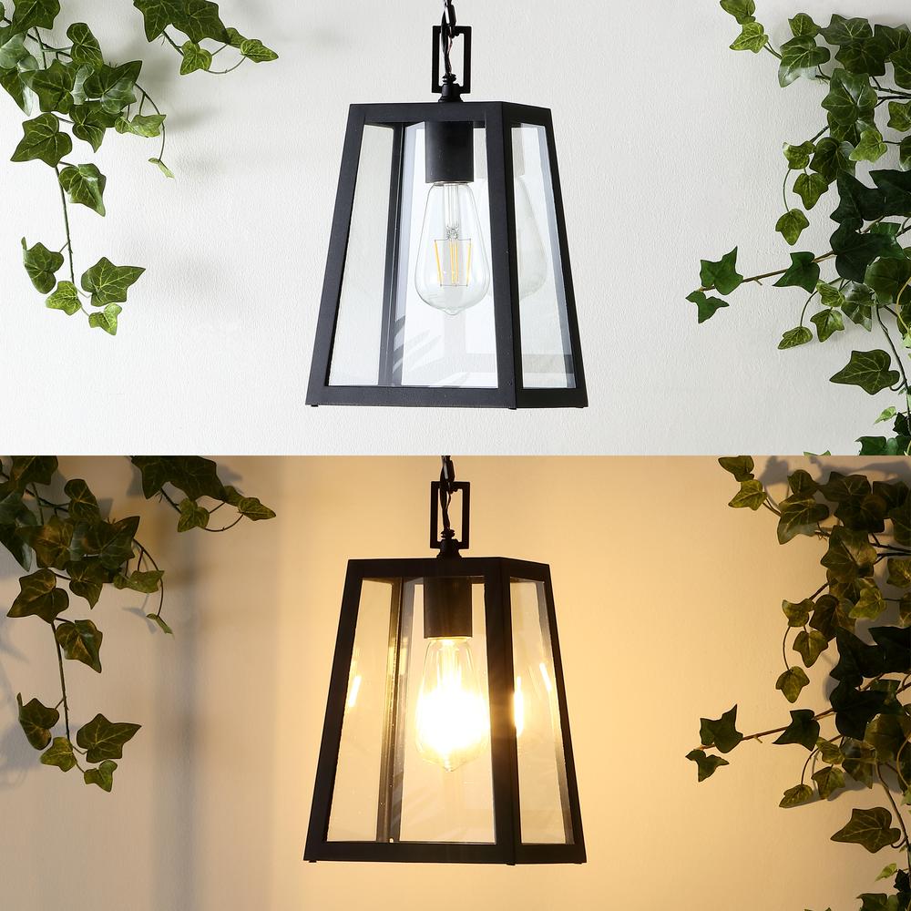 Glendale Farmhouse Industrial Iron/Glass Outdoor Led Pendant. Picture 8
