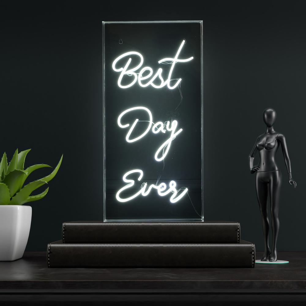 Best Day Ever Contemporary Glam Acrylic Box USB Operated LED Neon Light. Picture 6