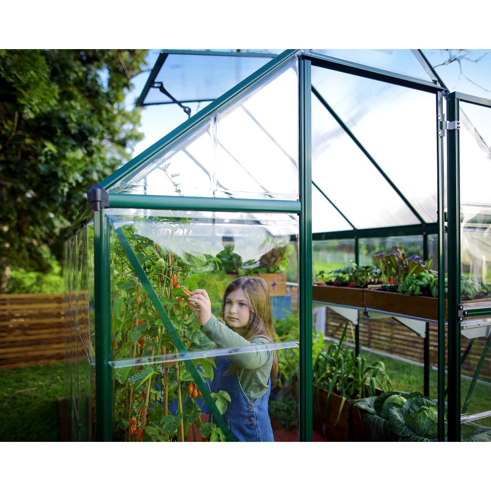 Hybrid 6' x 8' Greenhouse - Green. Picture 9