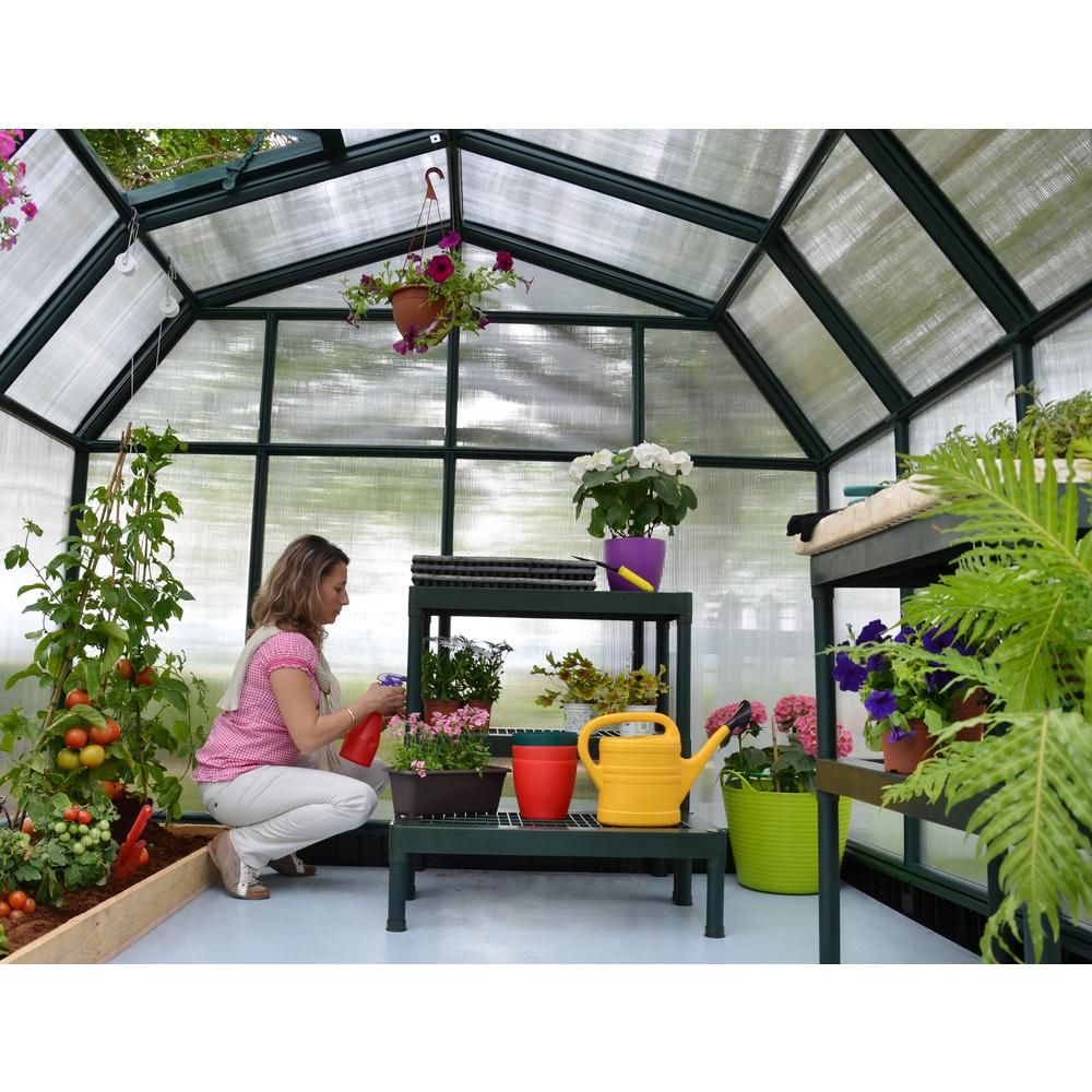Hobby Gardener 8' x 8' Greenhouse. Picture 9