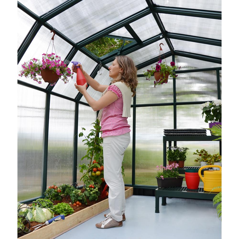 Hobby Gardener 8' x 8' Greenhouse. Picture 13