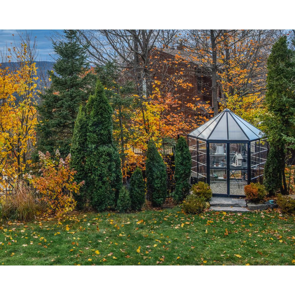 Oasis Hex 7' x 8' Greenhouse. Picture 16