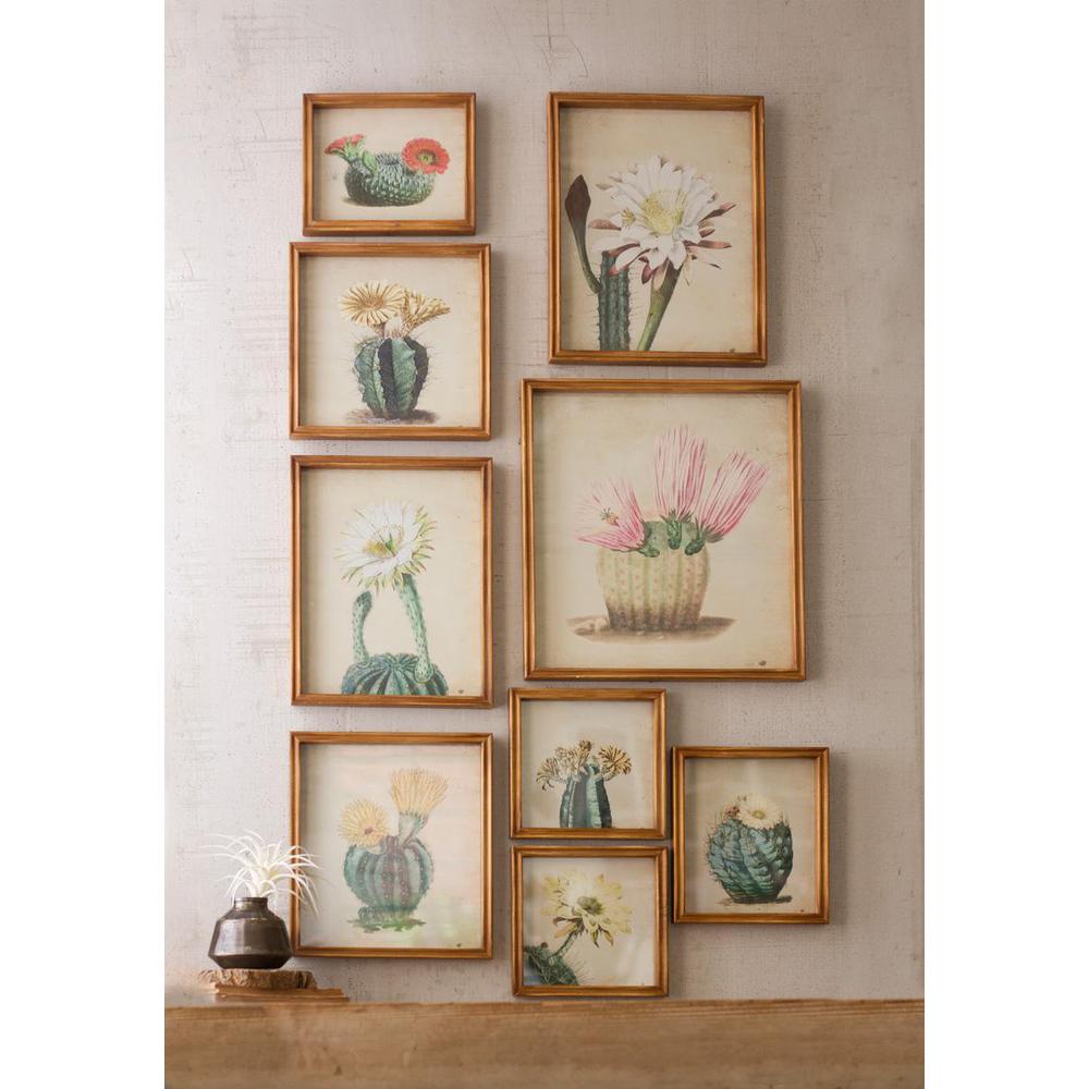 Set Of Nine Cactus Flower Prints Under Glass. Picture 2