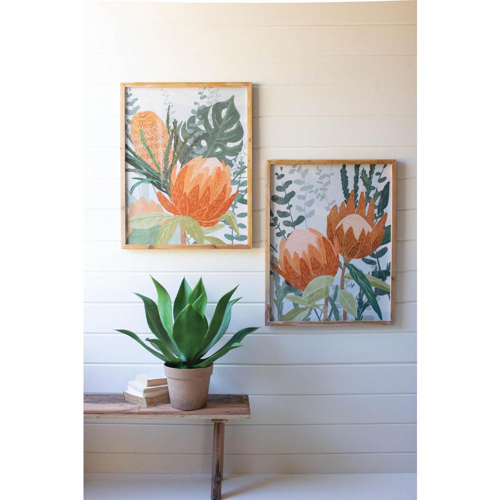 Set Of Two Framed Prints Under Glass - Protea. Picture 2